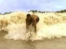 Surf na Pororoca - Amapá