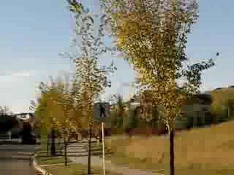 YouTube Трейлер