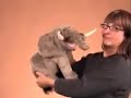 Olifant handpop