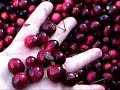 Suco de Cranberry Juxx | Colheita da Fruta Suco de Cranberry Juxx | Colheita da Fruta