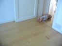 Archie Scooting Out