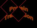 CHM 5600 wayne state university wsu biochemistry protein proteins translation ribosome oligopeptide