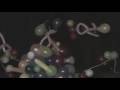 Protein Translation