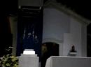 candlelight-procession-fatima-portugal.html