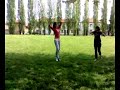 ballo delle scimmie