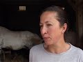 If you're tired of adding regular milk to your coffee, why not get with the latest trend and try...horse's milk. Produced by a small number of organic farms, it may not be cheap, but it's known for its nutty taste and is credited with a range of therapeutic benefits. At one farm in northwest France, farmers say their mare's milk is so popular, they're now ready to expand. Duration: 02:00