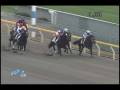 videos de [レースリプレイ] 081115 5東京3 12R
