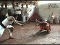 KALARIPAYATTU
