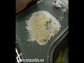 galletas de mantequilla