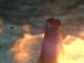 Der 3 Vulkan ER FUNZZZTTTT!!!!