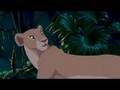 Disney TLK -  Can You Feel The Love Tonight?