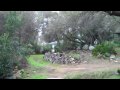 Flip UltraHD Camcorder Outdoor Test
