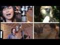 View Video