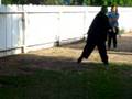 videos de juan playing star wars with his pinata
