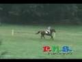 Groton House2 2008 Prelim Cross Country HORSE JUMPING