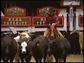 2001 NCHA Futurity Open Champion 2001 NCHA Futurity Open Champion