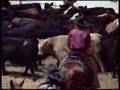 2001 NCHA Futurity Open Champion