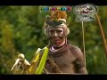 huli wigmen   papua new guinea