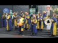 Kwelpiepers Eindhoven 2008