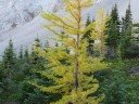 Slideshow of Galatea Lakes hike in Kananaskis - Alberta - Ca Slideshow of Galatea Lakes hike in Kananaskis - Alberta - Ca