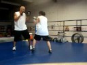 Mayweather STYLE MITT WORK II