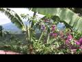 Vi&ntilde;a Rom&aacute;ntica Vacation Rental - Alajuela, Costa Rica