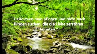 Devils Lake - Die Hoffnung stirbt zuletzt. Zitat: Raymond