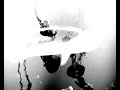 ane brun   the dancer