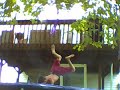 Son Of Jackass