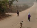 Morning stroll