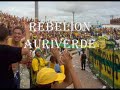 barras bravas colombianas parte 1