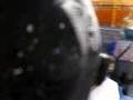 videos de Travels with Betty and Conry