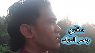 رحلة سفاري مع الاحباب على جحر الديك شرق مدينة غزة وشفنا الأشجار وشوينا  عوني السوافيري عزم علوش روعة