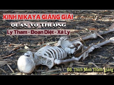 Kinh NIKAYA  Giảng Giải – Quán Vô Thường – Ly Tham – Đoạn Diệt – Xả Ly