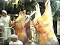 Australian Beef Slaughterhouse SBA Foods (Gilbertsons) (part 9 -10)