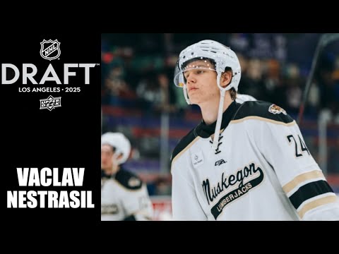2025 NHL Draft : Vaclav Nestrasil - 24-25 Highlights 