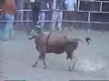 LOS TOROS DESTRUCTORES DE MEMO OCAMPO
