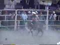LOS TOROS DESTRUCTORES DE MEMO OCAMPO