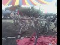 bangus festival DHS 3 boni