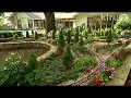Steve Blackson: Central Texas Gardener
