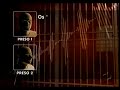 Tribunal do Crime - PCC - Justiça paralela