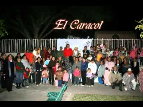 Programa Municipal