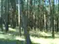 Bicycle Race Bicycle Race