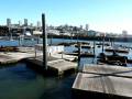 Las foquitas de Pier 39