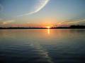 S.O.S (AMAZONIA)