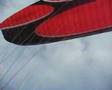 Bird Bothering Paraglider