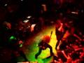 Cannibal Corpse Live in Perth