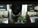 Linus Visits Starbucks