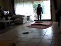 hanna und der qeiiLe hund D eiq wollten wir lernen ne D