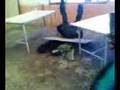 am mamadas de new de mi escuela xd